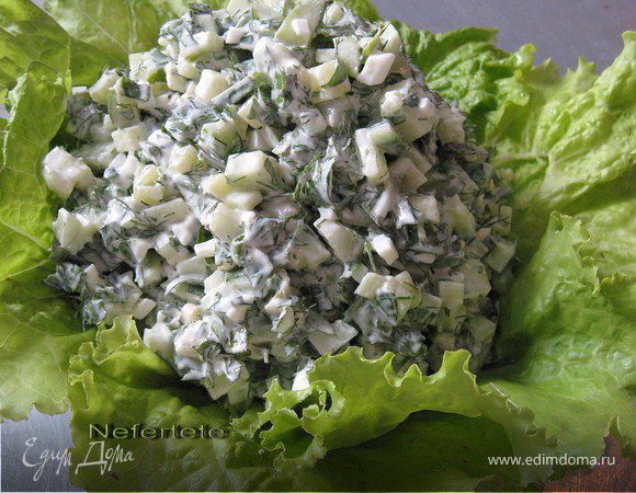 Салат со щавелем