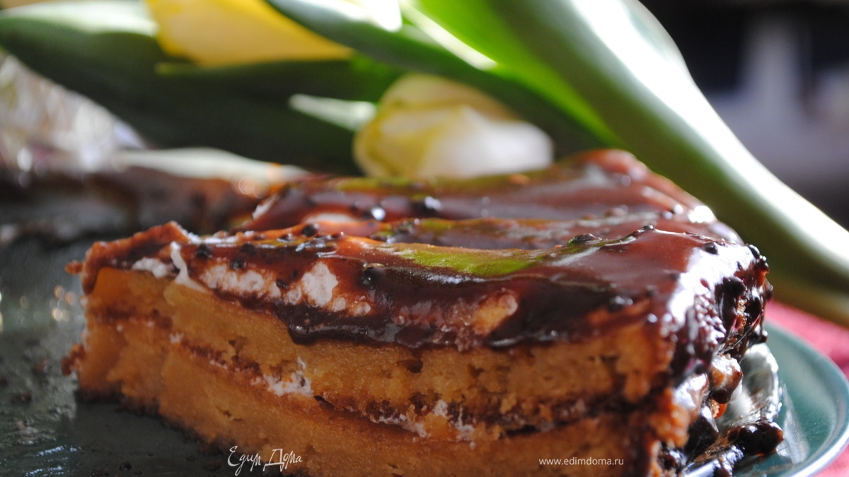 Мишка _на_севере