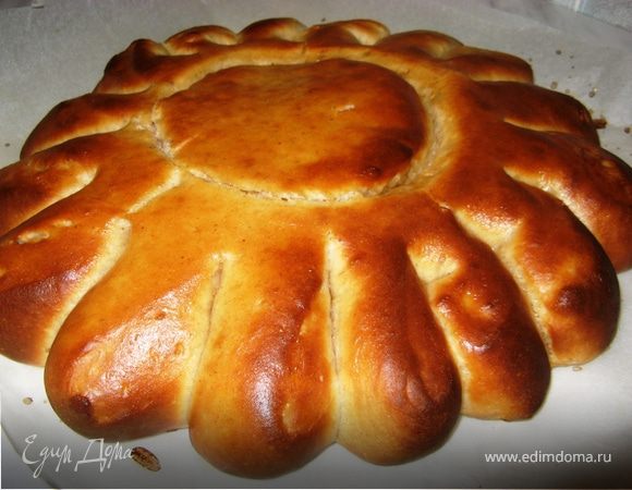 Коричная ромашка Коричная ромашка