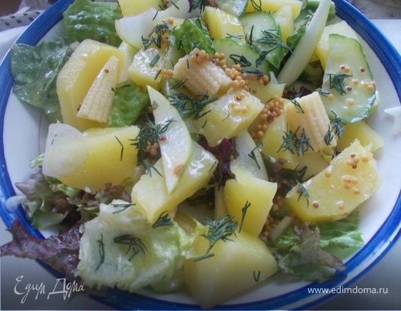 Картофельный салат с кукурузой Картофельный салат с кукурузой
