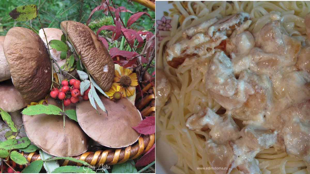 Паста с белыми грибами