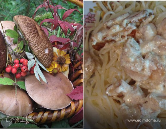 Паста с белыми грибами