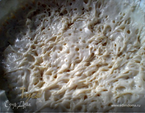 Живые дикие дрожжи от Ришара Бертине