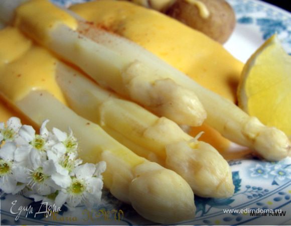 Голландский соус к спарже, совет по варке спаржи Голландский соус к спарже, совет по варке спаржи