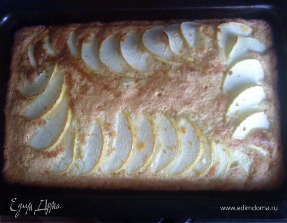 Шарлотка Шарлотка