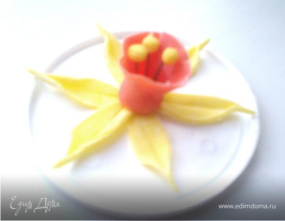 Нарцисс из мастики