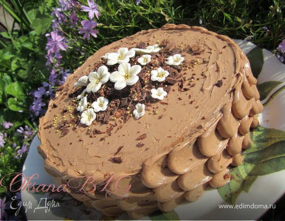 Торт "Шоколадные тучки" Торт "Шоколадные тучки"