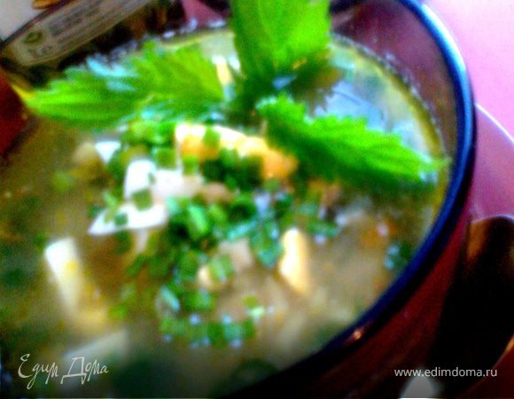 Суп "Молодо-зелено"