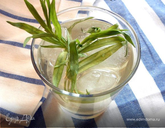 Лимонад с эстрагоном (тархуном)