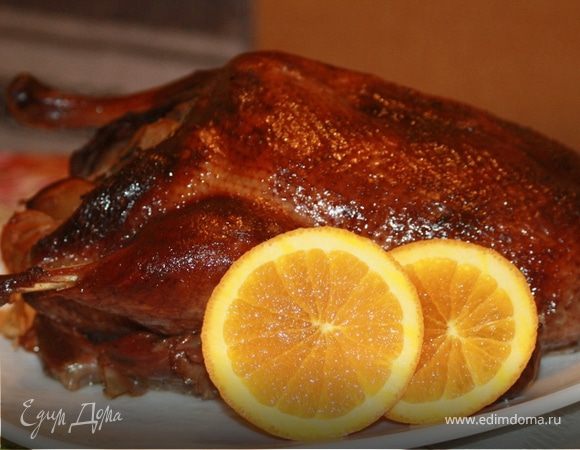 Утка "Синяя птица"