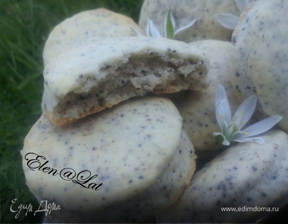 Маковые коржики быстрые ("Quickly") Маковые коржики быстрые ("Quickly")