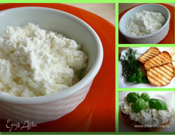 Домашний творог