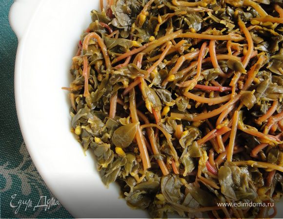 Салат из портулака (из дандура) Салат из портулака (из дандура)