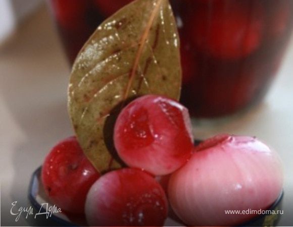 Маринованный лук Маринованный лук