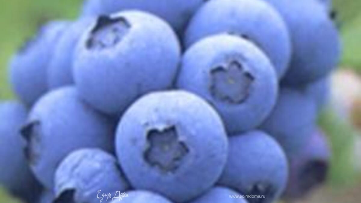 Пюре из запеченных яблок, груш и голубики