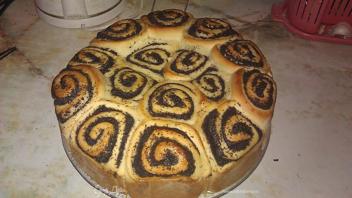 Розовый куст