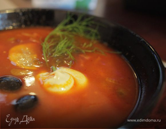 Быстрая солянка