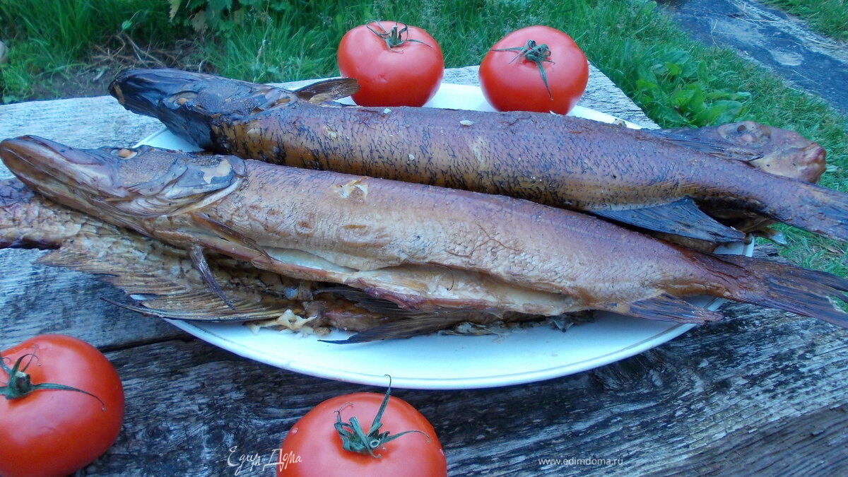 Лещ и щучки на ольховых веточках. Коптим