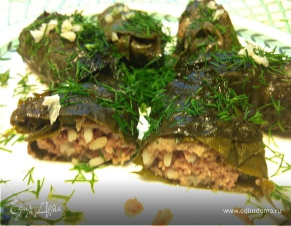 Долма с говяжьим фаршем Долма с говяжьим фаршем