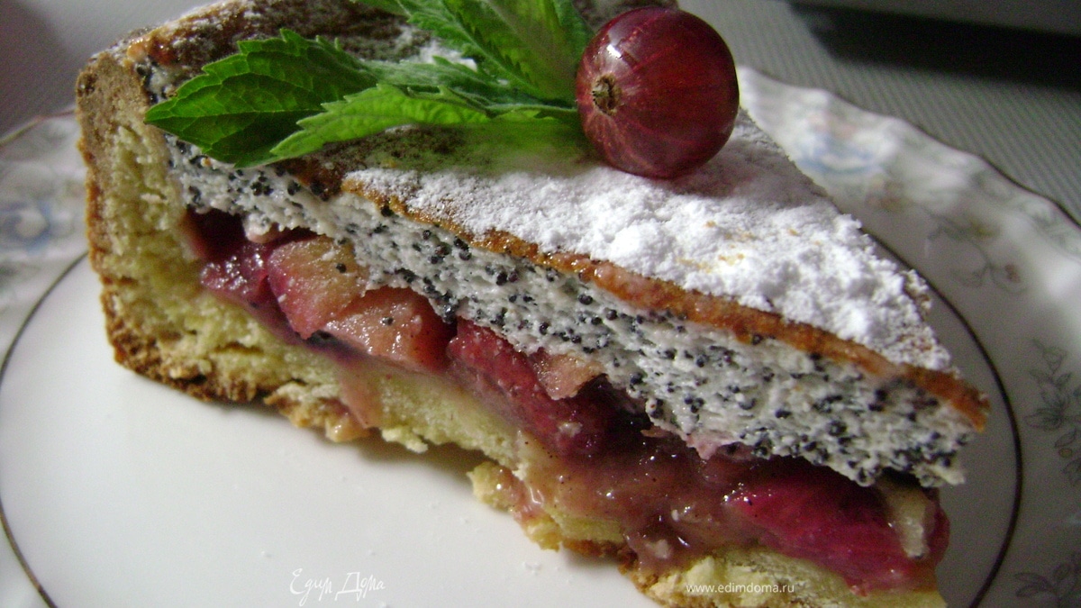 Пирог с крыжовником, смородиной и яблоками