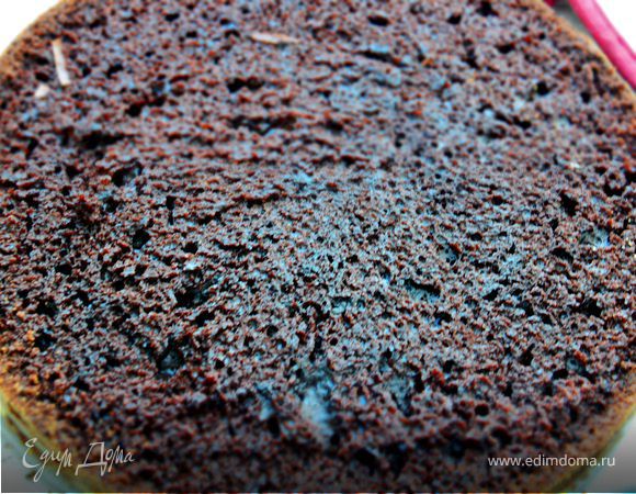 Шоколадный бисквит Шоколадный бисквит