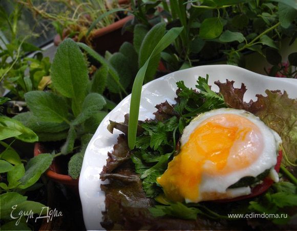 Завтрак на траве