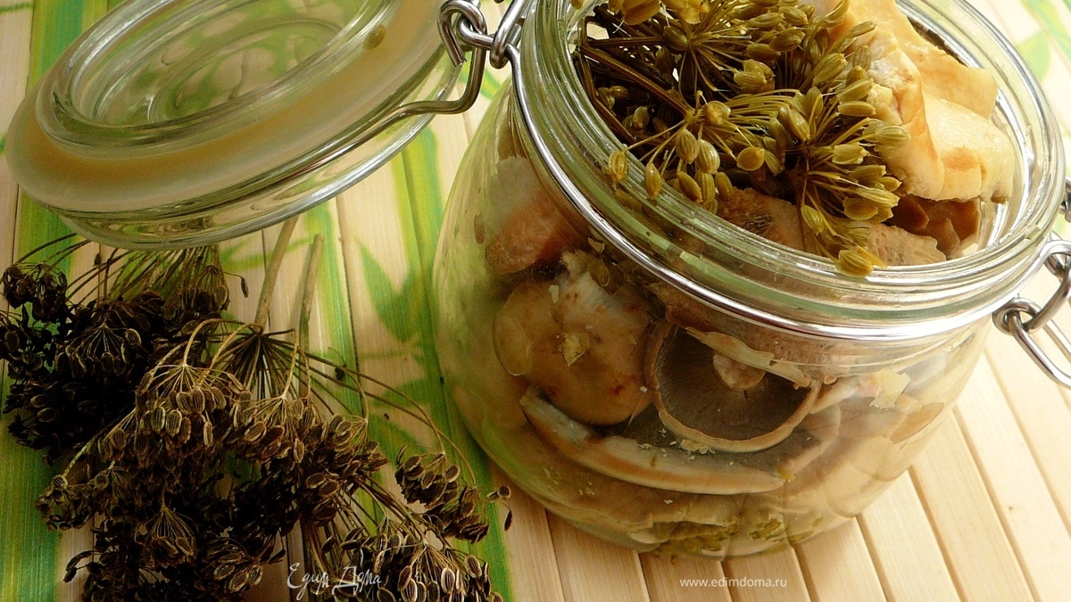 Соленые грузди