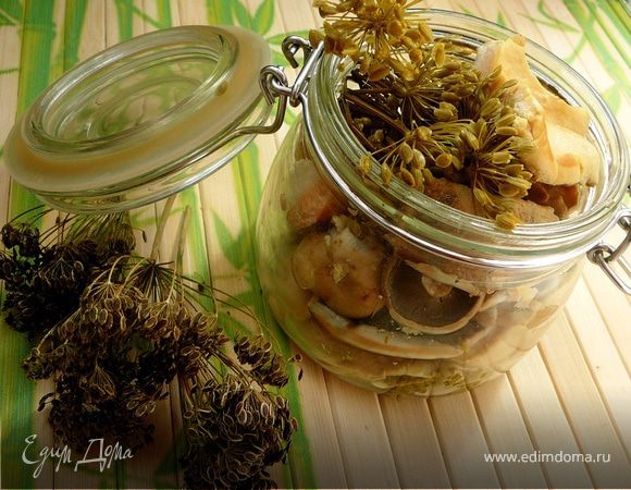 Соленые грузди Соленые грузди