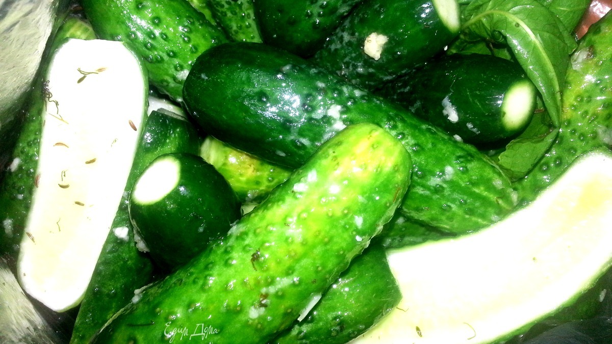 Малосольные огурцы "всухую"