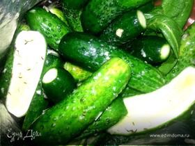 Фото рецепта