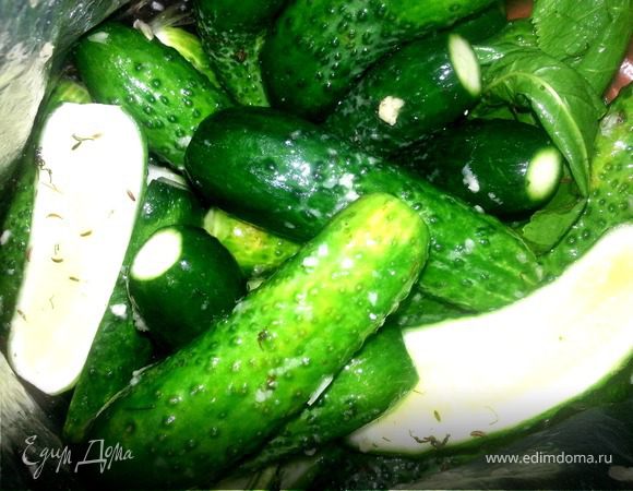 Малосольные огурцы "всухую"