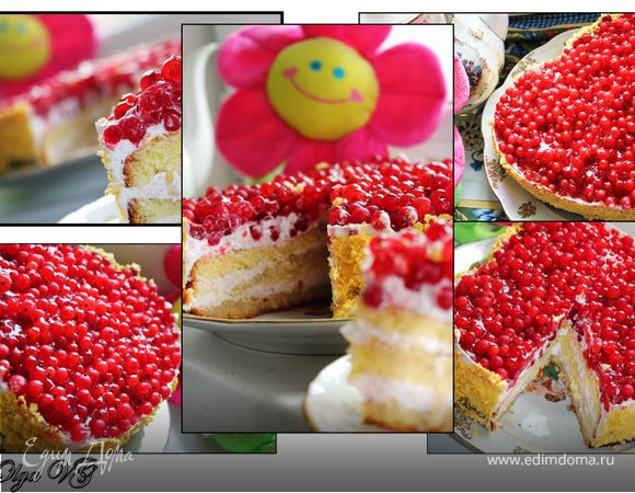 Торт "Бисквитная смородинка со сливками" Торт "Бисквитная смородинка со сливками"