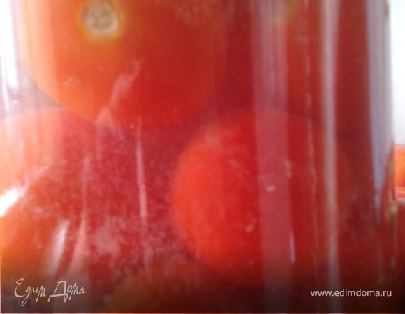 помидоры "Под снегом"