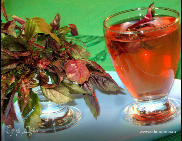 Очень полезный, вкусный холодный чай из базилика Очень полезный, вкусный холодный чай из базилика