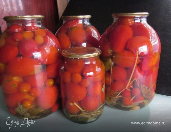 помидоры маринованные помидоры маринованные