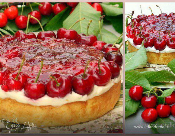 Торт из песочного теста с панна котта и вишневым желе Торт из песочного теста с панна котта и вишневым желе