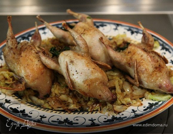 Перепелки с савойской капустой и корнем пастернака