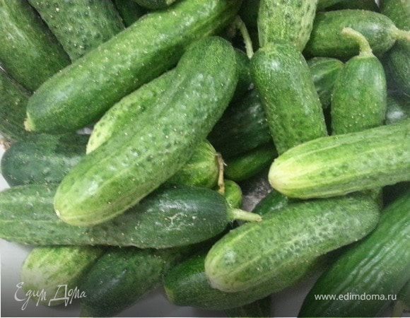 Хрустящие малосольные огурцы Хрустящие малосольные огурцы