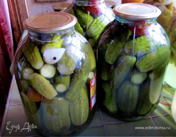 огурцы маринованные