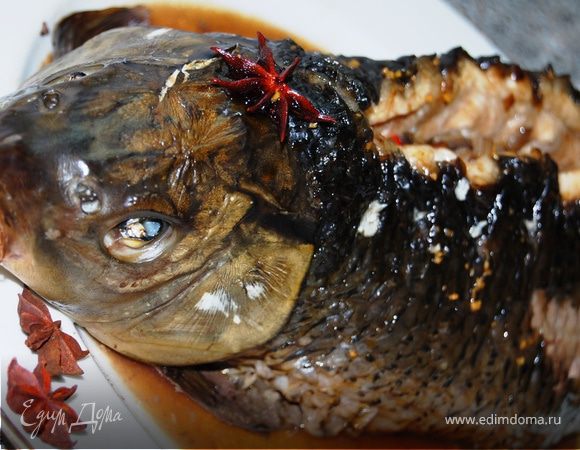 КАРП, ФАРШИРОВАННЫЙ ОВОЩАМИ (ГОТОВИМ С "HOMEQUEEN CORPORATION") КАРП, ФАРШИРОВАННЫЙ ОВОЩАМИ (ГОТОВИМ С "HOMEQUEEN CORPORATION")