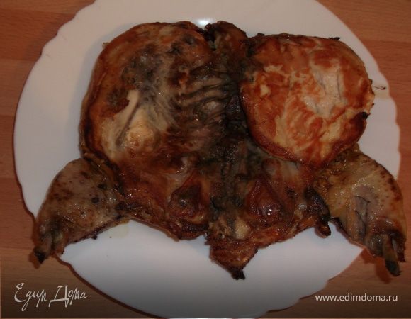 цыпленок табака цыпленок табака