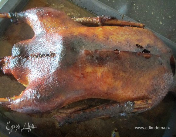 Запеченный гусь, фаршированный яблоками и черносливом Запеченный гусь, фаршированный яблоками и черносливом