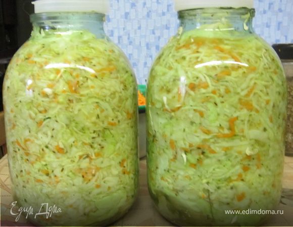 КАПУСТА СОЛЕННАЯ НА ЗИМУ КАПУСТА СОЛЕННАЯ НА ЗИМУ