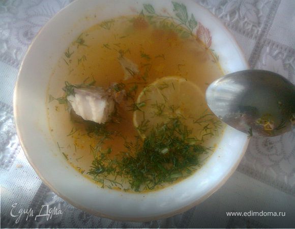 Суп из осетра Суп из осетра