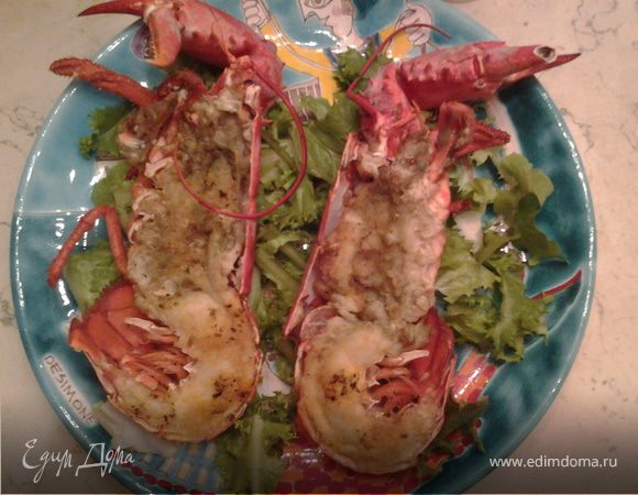 лобстер "новогодний" лобстер "новогодний"