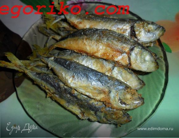 Ставридка жареная, к пиву Ставридка жареная, к пиву