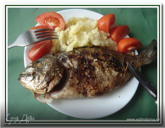 Дорада авторская Дорада авторская