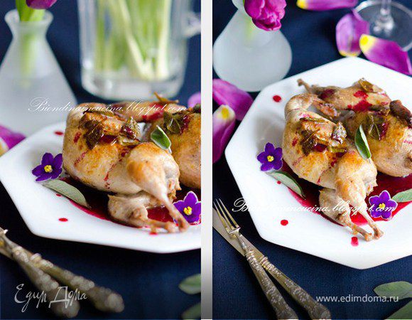 Перепелки с шалфеем и кули из малины,черники и фиалки Перепелки с шалфеем и кули из малины,черники и фиалки