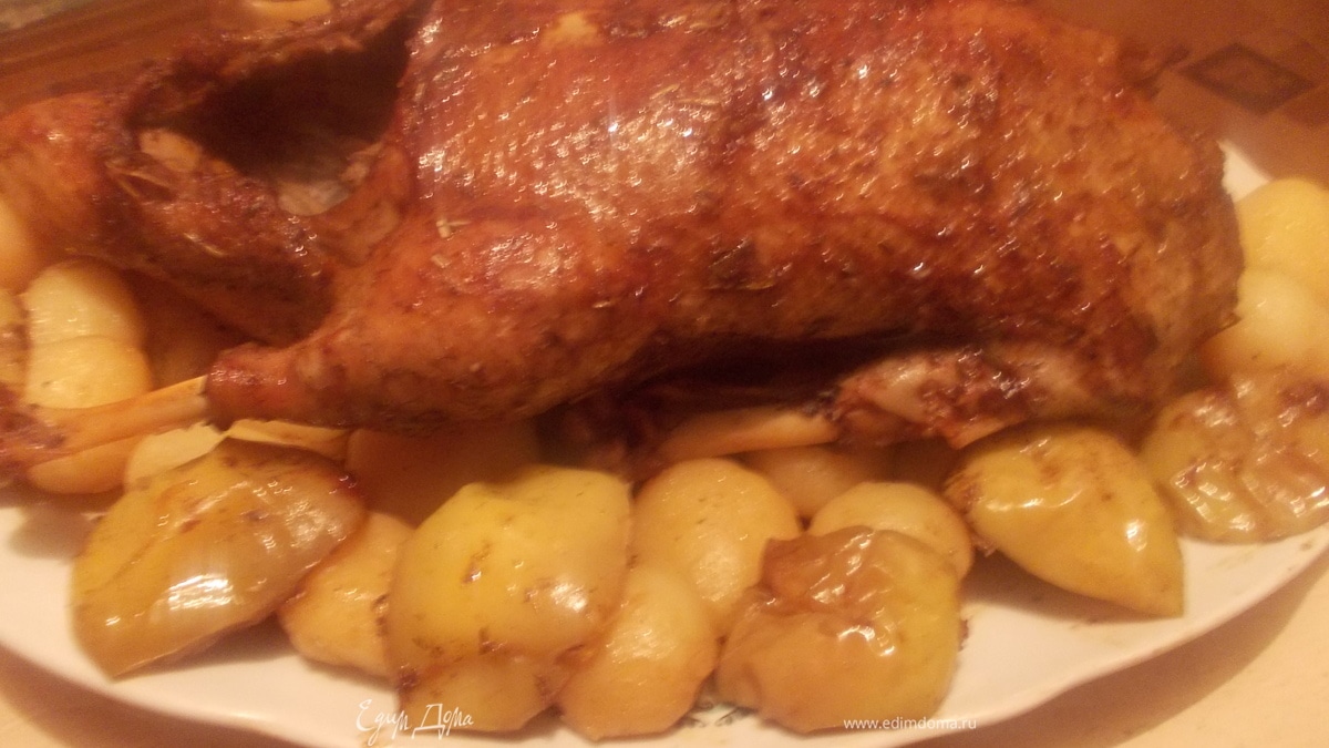 Утка "Мулатка"