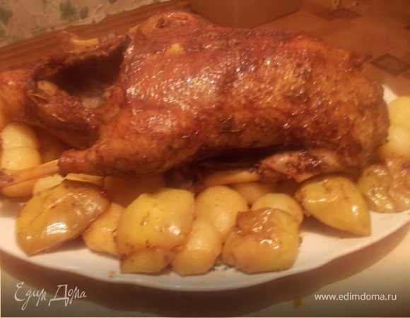 Утка "Мулатка" Утка "Мулатка"